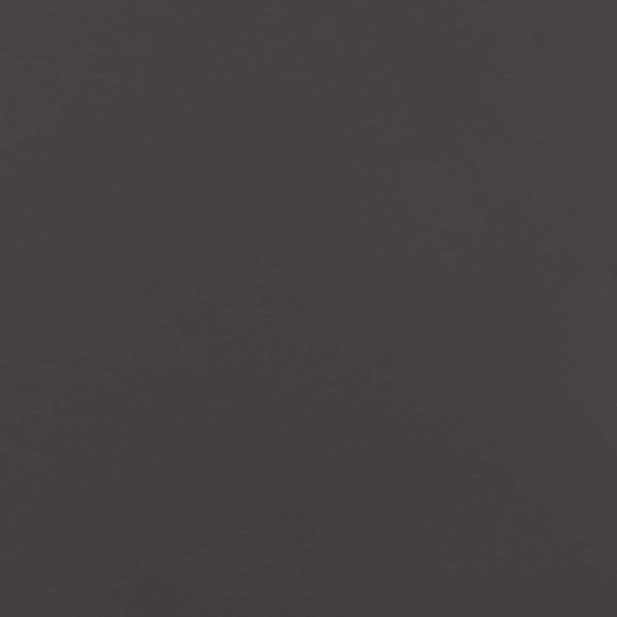 Garden Privacy Screen Black 50 x 140 cm Cold-rolled steel