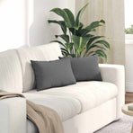 Sofa Pillows 2 pcs Fabric Dark Grey 50 x 30 cm