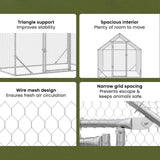 Chicken Cage Silver 200 x 170 x 177 cm Galvanised Steel