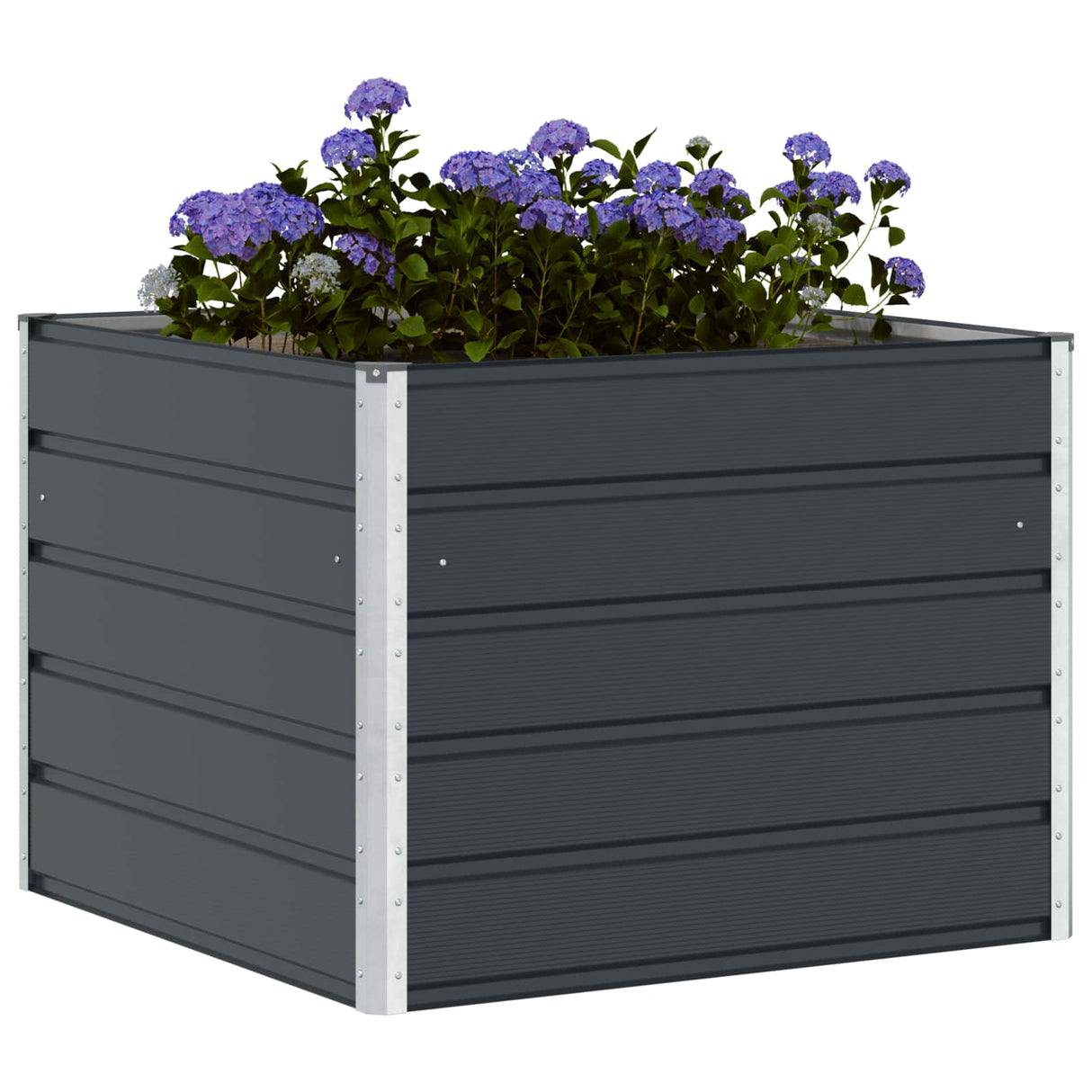 Planter Anthracite 100 x 100 x 75 cm Steel