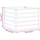 Planter Anthracite 100 x 100 x 75 cm Steel - Close-Up Angle