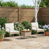 Garden set with Cushion steel