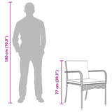 Garden set with Cushion steel - Extra Image