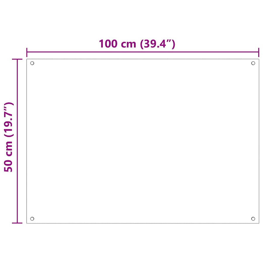 Kitchen Backsplash 2 pcs Transparent 100 x 50 cm Tempered Glass