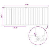 Dog Gate 2 pcs Black 100 x 80 cm Galvanised Steel