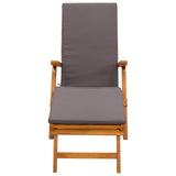 Reclining and Folding Sunlounger 55 x 146 x 91 cm