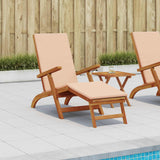 Reclining and Folding Sunlounger 55 x 146 x 91 cm