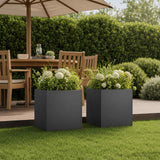 Garden Planter 2 pcs Black 25 x 25 x 25 cm Cold-rolled Steel