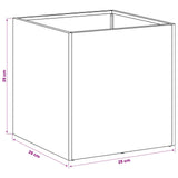 Garden Planter 2 pcs Black 25 x 25 x 25 cm Cold-rolled Steel - Low Angle