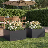 Garden Planter 2 pcs Black 40 x 40 x 30 cm Cold-rolled Steel