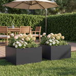 Garden Planter 2 pcs Black 40 x 40 x 30 cm Cold-rolled Steel