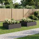 Garden Planter 2 pcs Black 100 x 100 x 30 cm Cold-rolled Steel