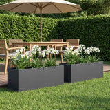Garden Planter 2 pcs Anthracite 100 x 30 x 30 cm
