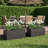 Garden Planter 2 pcs Black 80 x 40 x 40 cm Cold-rolled Steel