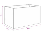 Garden Planter 2 pcs Black 100 x 50 x 50 cm Cold-rolled Steel - Low Angle