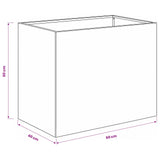 Garden Planter 2 pcs Black 60 x 40 x 50 cm Cold-rolled Steel - Low Angle