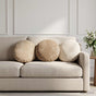 Throw Pillow 2 pcs HEERLEN Brown Dia. 40 cm Chenille Fabric
