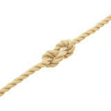 Boat Rope 50 m 0.6 Natural PP - 45-Degree Angle