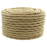 Boat Rope 25 m 1 Natural PP