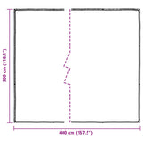 Plant Cover Transparent 3 x 4 m PE - Top-Down View