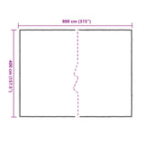 Plant Cover Transparent 4 x 8 m PE - Top-Down View