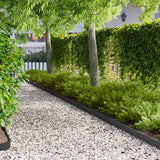Lawn Edging 20 pcs 103 x 10 cm Steel Black