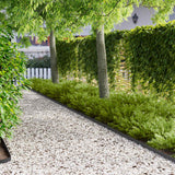 Lawn Edging 20 pcs 102 x 4 x 4 cm Steel Black