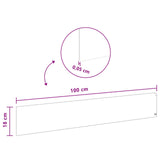 Lawn Edging 20 pcs 100 x 18 cm Steel Black