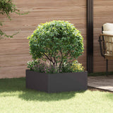 Lawn Edging 60 x 60 x 35 cm Steel Black