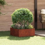Lawn Edging 60 x 60 x 35 cm Steel Rusty