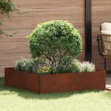 Lawn Edging 100 x 100 x 35 cm Steel Rusty