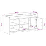 Shoe Cabinet Sonoma Oak 100 x 39.5 x 51 cm Engineered Wood
