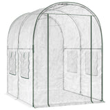 Greenhouse with Frame 160 x 200 x 192.5 cm PVC Transparent