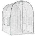 Greenhouse with Frame 160 x 200 x 192.5 cm PVC Transparent