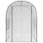 Greenhouse with Frame 160 x 200 x 192.5 cm PVC Transparent