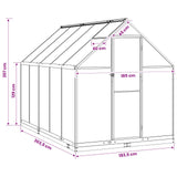 Garden Greenhouse with Door Anthracite 183.5 x 303.5 x 207 cm