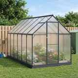 Garden Greenhouse with Door Anthracite 183.5 x 363.5 x 207 cm