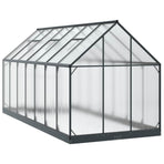 Garden Greenhouse 185 x 423.5 x 207 cm