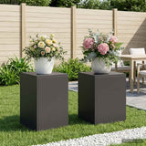 Plant Stand 2 pcs Black 30 x 30 x 40 cm Steel