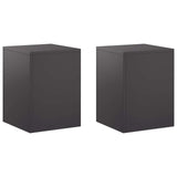 Plant Stand 2 pcs Black 30 x 30 x 40 cm Steel - Front View