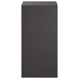Plant Stand 2 pcs Black 30 x 30 x 60 cm Steel