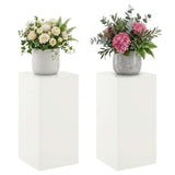 Plant Stand 2 pcs White 30 x 30 x 60 cm Steel
