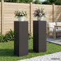 Plant Stand 2 pcs Black 30 x 30 x 100 cm Steel