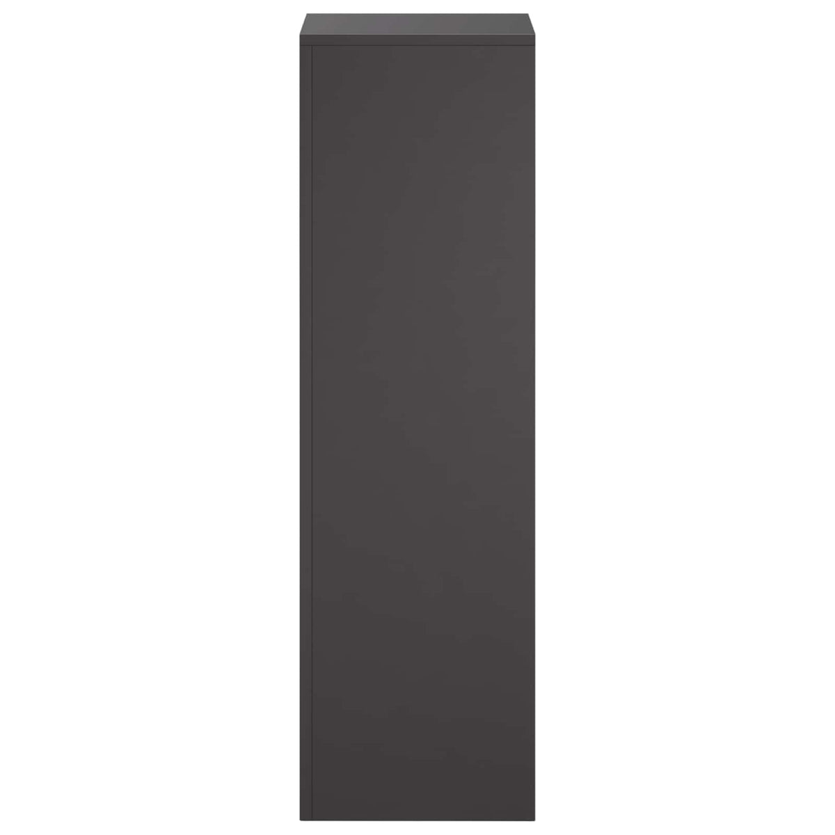 Plant Stand 2 pcs Black 30 x 30 x 100 cm Steel