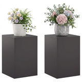 Plant Stand 2 pcs Black 40 x 40 x 60 cm Steel