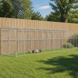 Against Wall Chicken Coop Silver 600 x 150 x 215 cm