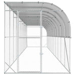Against Wall Chicken Coop Silver 600 x 150 x 215 cm