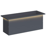 Garden Planter with LED Antracite 30 x 80 x 30 cm Steel