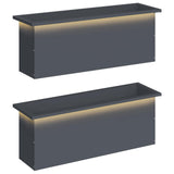 Garden Planter with LED 2 pcs Antracite 30 x 100 x 30 cm Steel