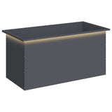 Garden Planter with LED Antracite 50 x 100 x 48 cm Steel